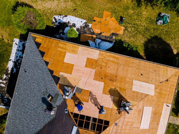 Best Roof Maintenance Services  in Bruce, MS
