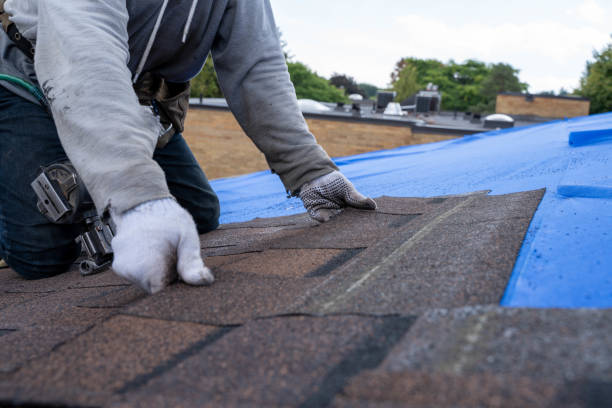 Best Flat Roof Repair Services  in Bruce, MS