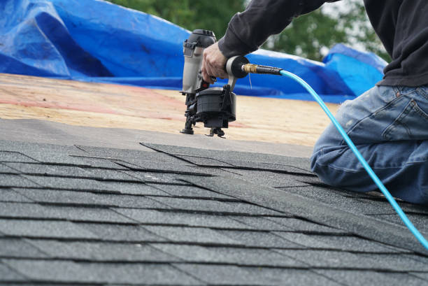 Best Roof Maintenance Services  in Bruce, MS